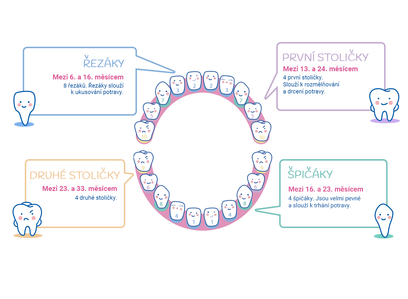 Infographie_dentaireOKcz.png