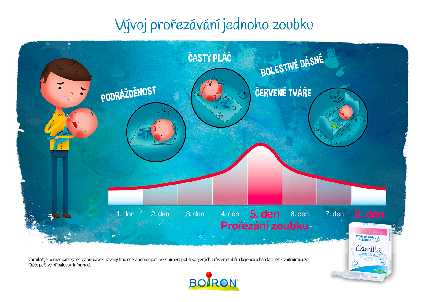 infografika_vyvoj_prorezavani_zoubku.png